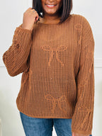 Ribbon Theory Sweater in Brown