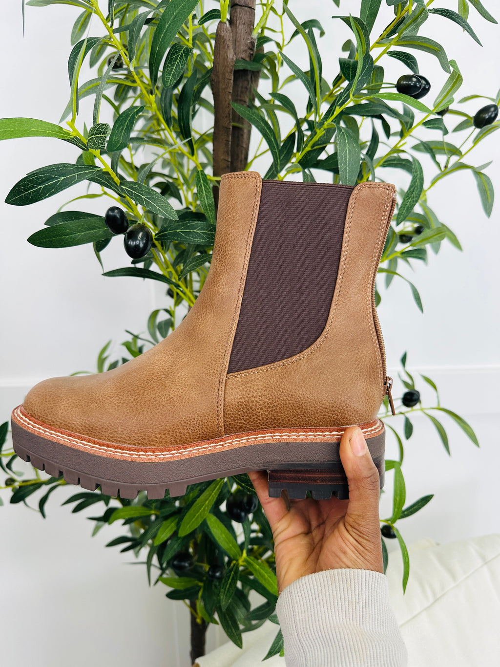 Sole Society Boots in Brown